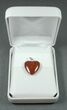 Red Heart, Agatized Dinosaur Bone (Gembone) Pendant #84763-3